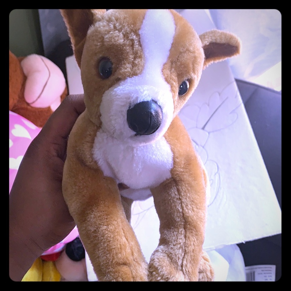 Dog